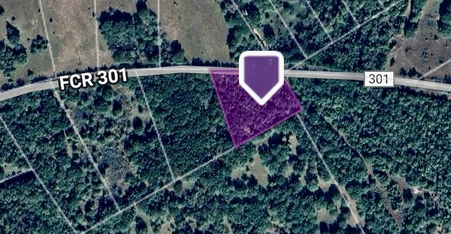 301 Tract 7 Road Oakwood, TX 75855 - Photo 3 of 14 a sign that is sitting in front of flowers