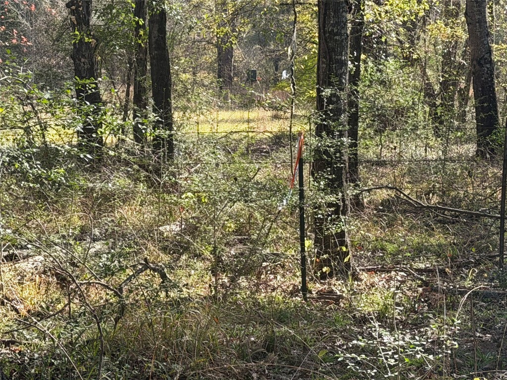 301 Tract 7 Road Oakwood, TX 75855 - Photo 10 of 14