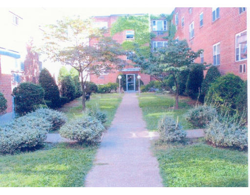 51 Colborne Road, Unit 3 51 Boston, MA 02135 - Photo 1 of 5 Gallery Image 1