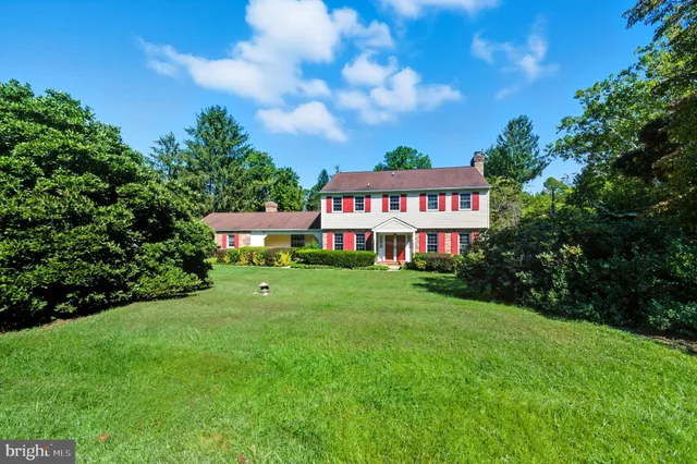 a view of a big yard with plants and large trees