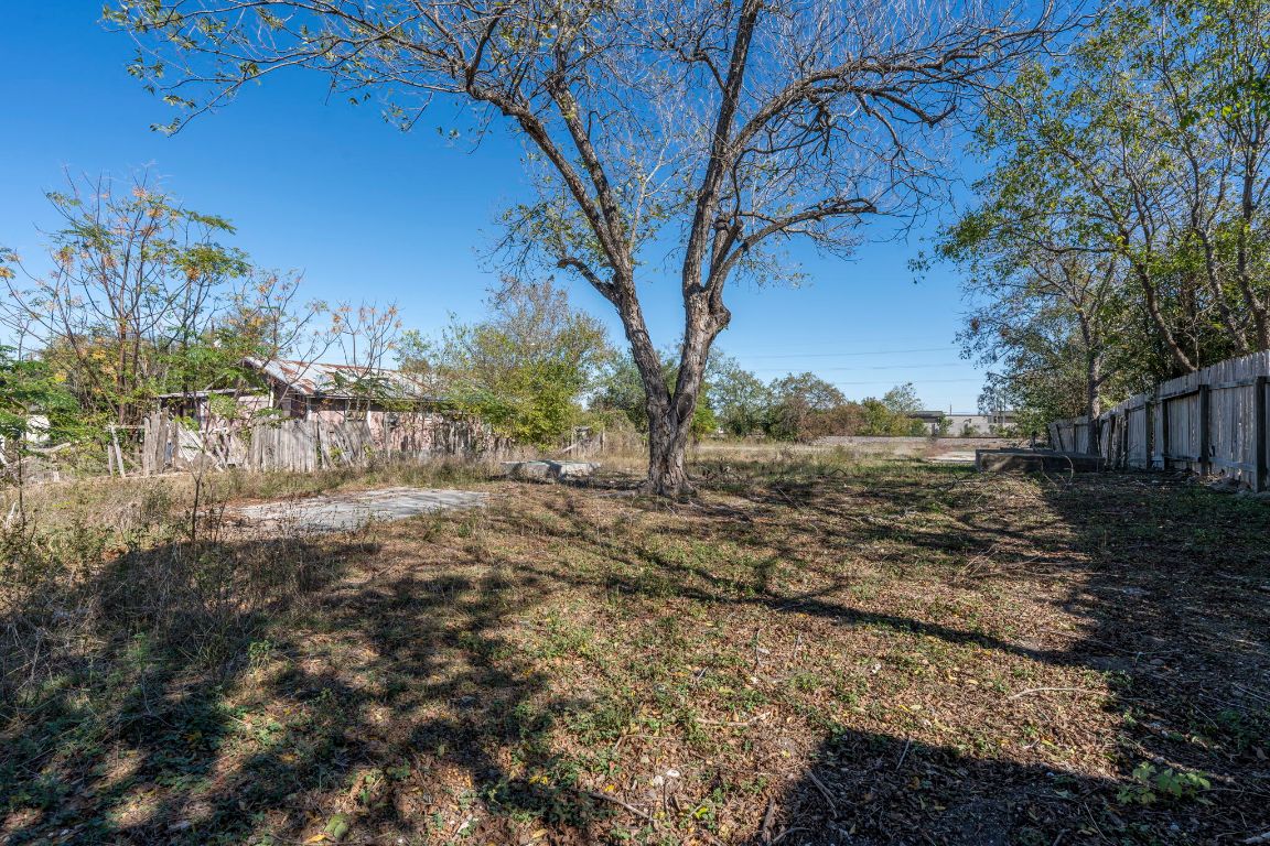 313 North Front Street Kyle, TX 78640 - Photo 26 of 28 a view of a yard with a tree