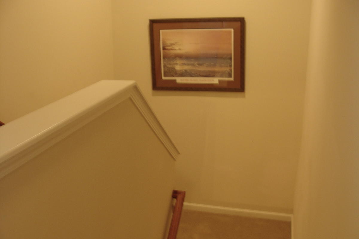1642 Indaba Way Charleston, SC 29414 - Photo 18 of 55 Up to second level