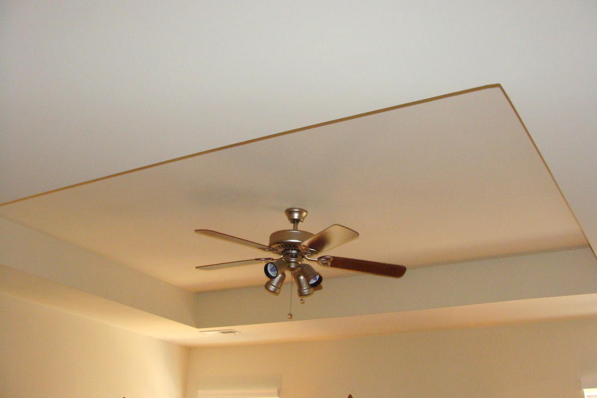 1642 Indaba Way Charleston, SC 29414 - Photo 27 of 55 Tray box ceiling in master