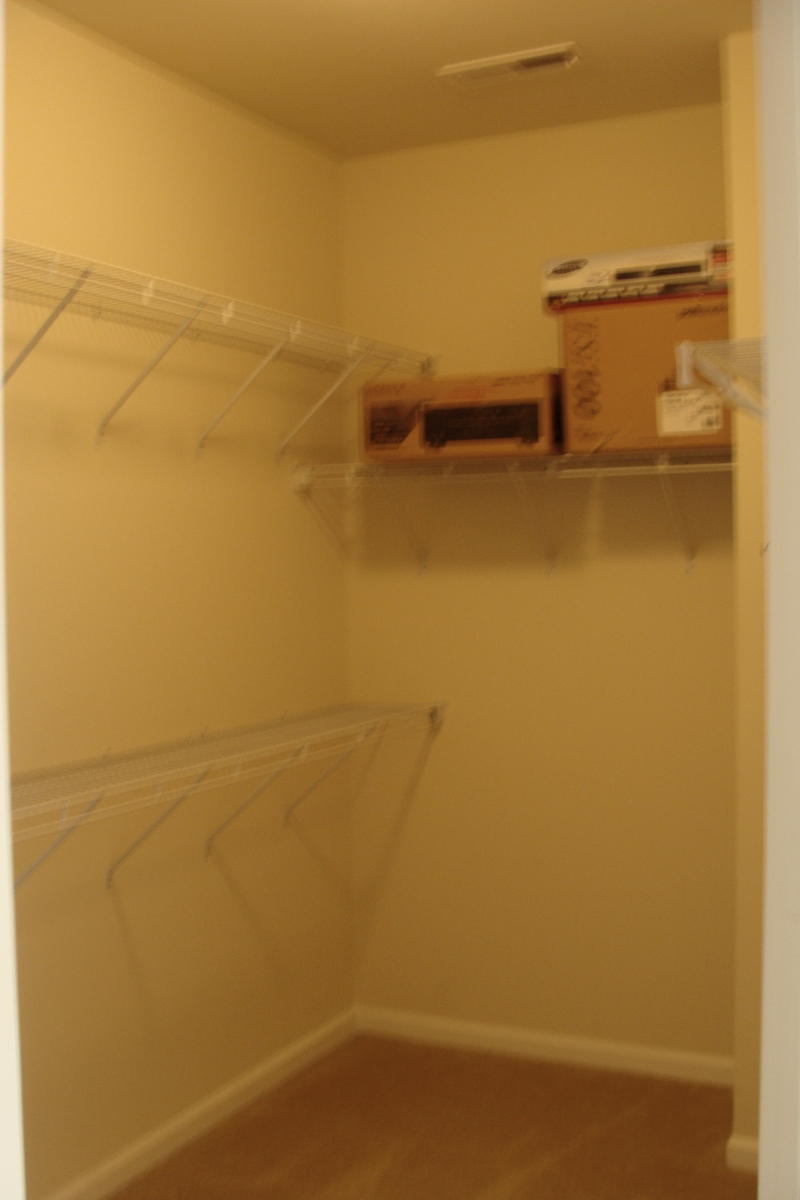 1642 Indaba Way Charleston, SC 29414 - Photo 29 of 55 Master walk-in
