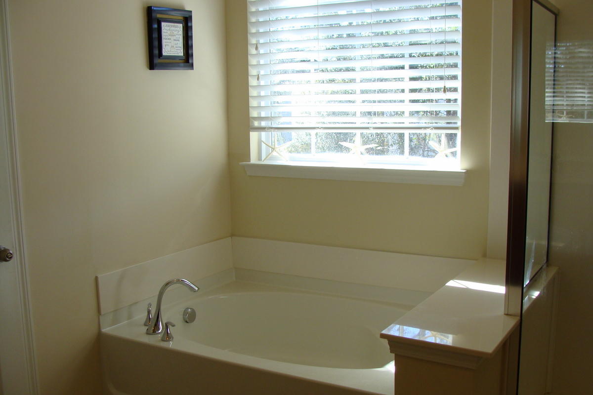 1642 Indaba Way Charleston, SC 29414 - Photo 34 of 55 Master bath garden tub-non jetted