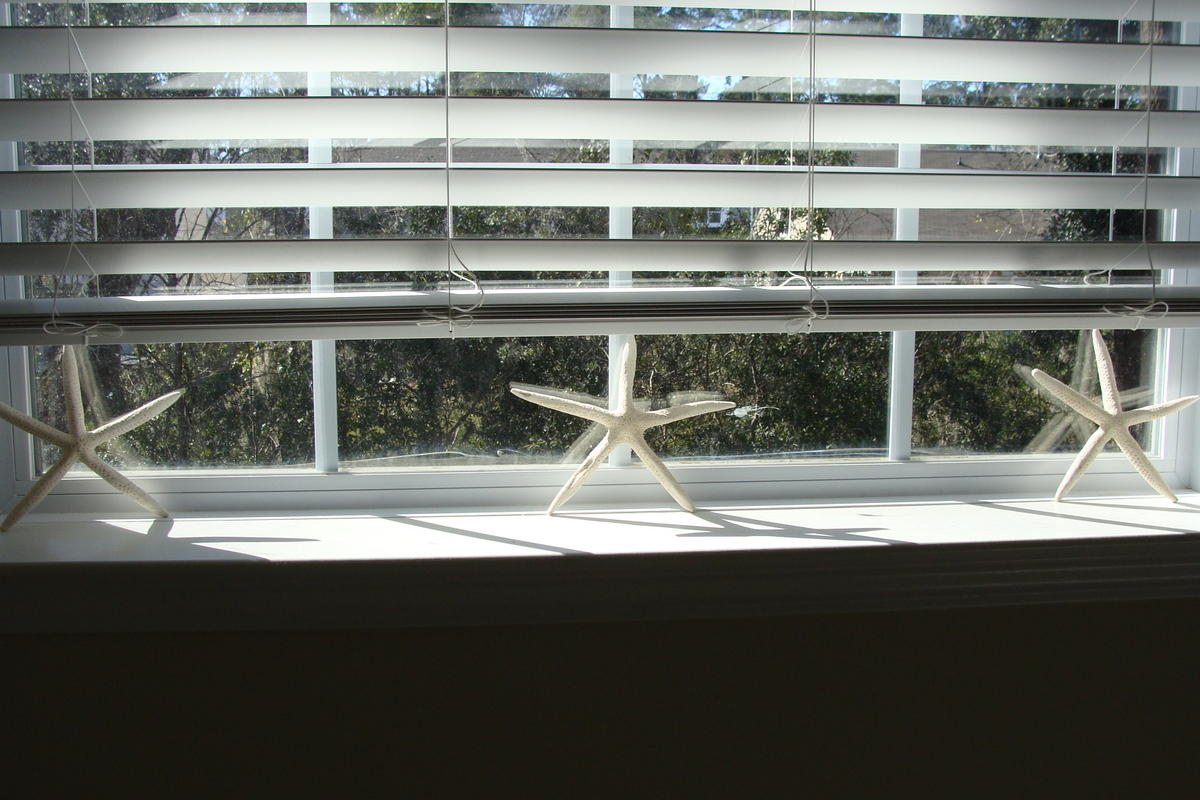 1642 Indaba Way Charleston, SC 29414 - Photo 35 of 55 Ready for your touch!