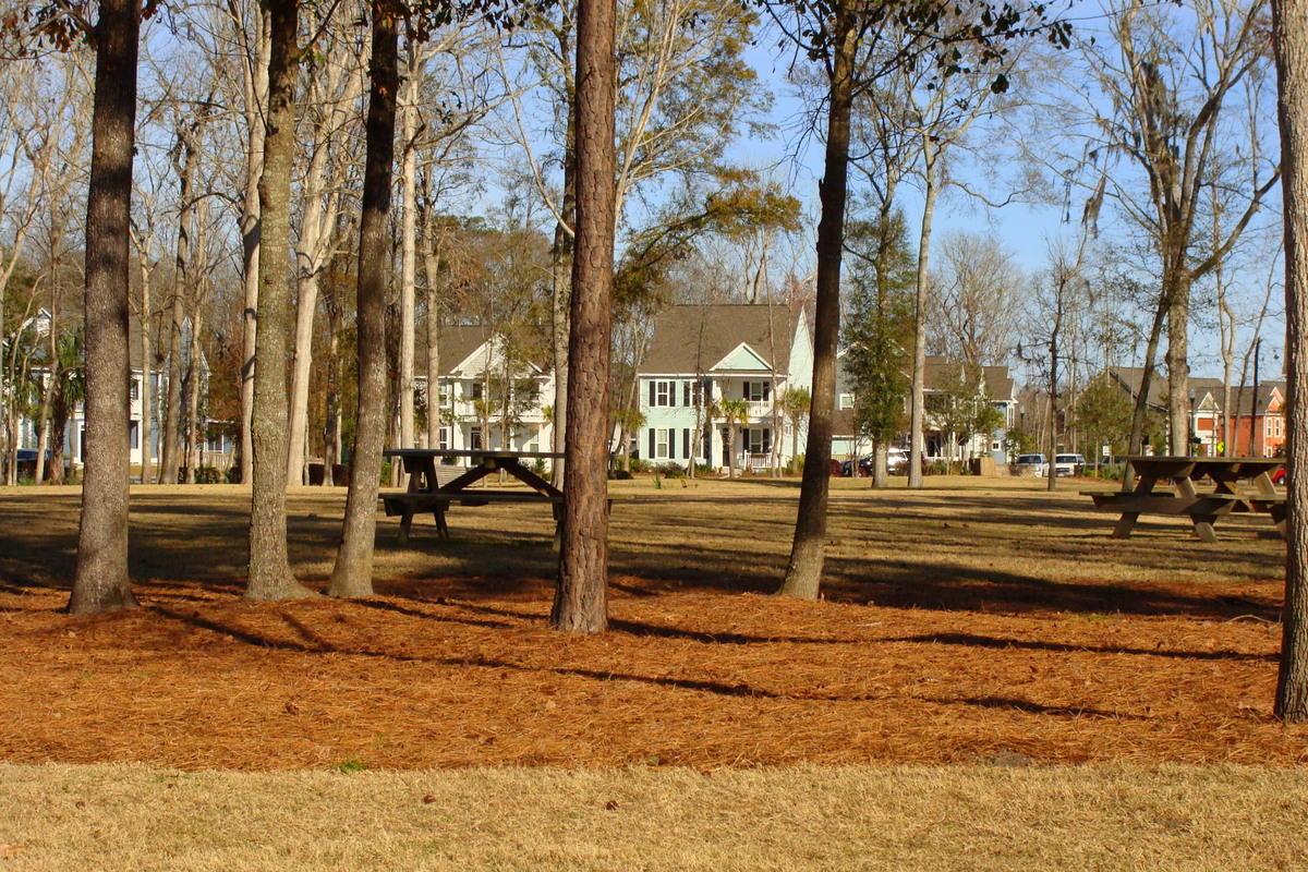 1642 Indaba Way Charleston, SC 29414 - Photo 54 of 55 Picnic, play catch, meet friends