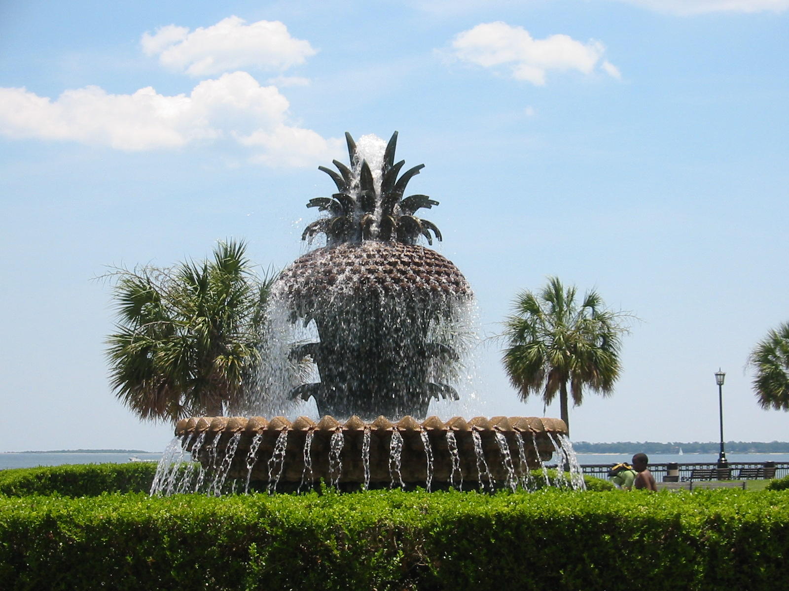 1642 Indaba Way Charleston, SC 29414 - Photo 55 of 55 Charleston Hospitality is the BEST!
