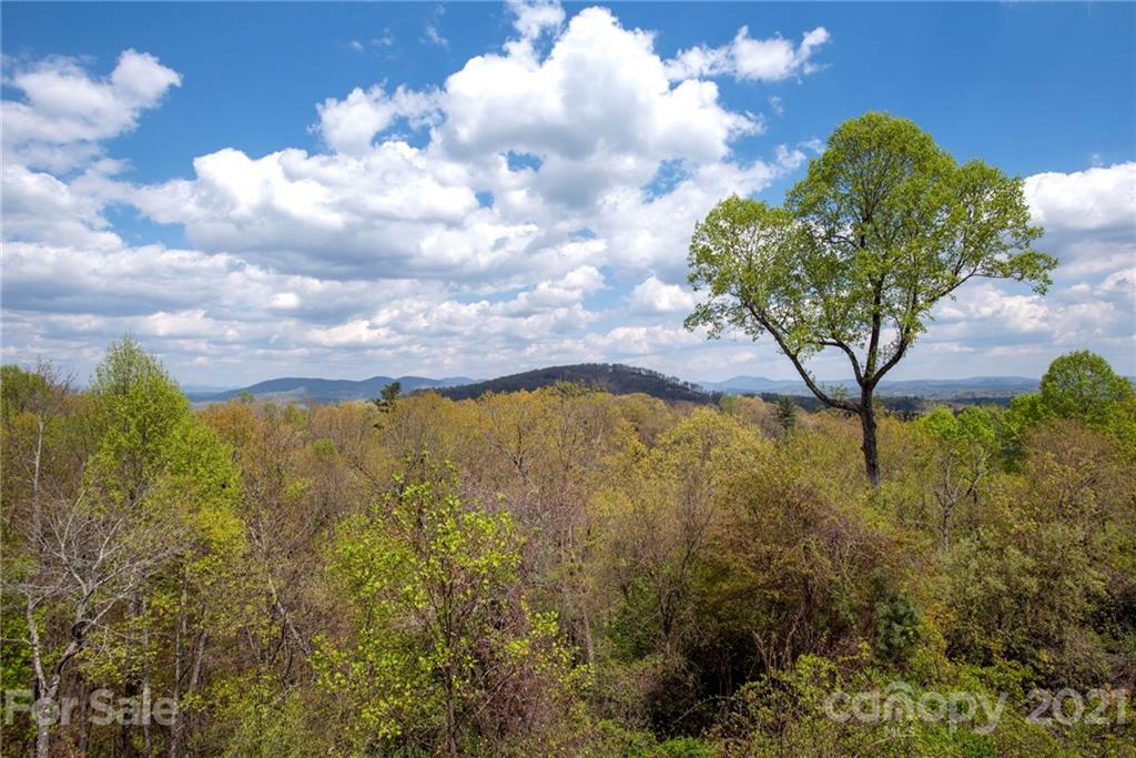 672 High Quarry Road Hendersonville, NC 28791 - Photo 12 of 36 Gallery Image 12