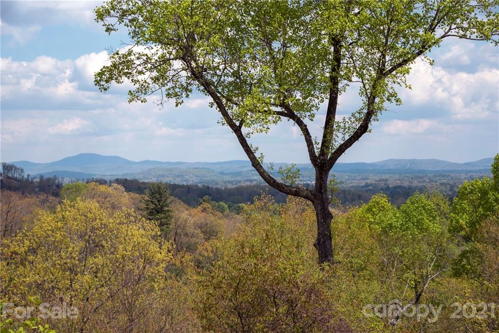 672 High Quarry Road Hendersonville, NC 28791 - Photo 3 of 36 Gallery Image 3
