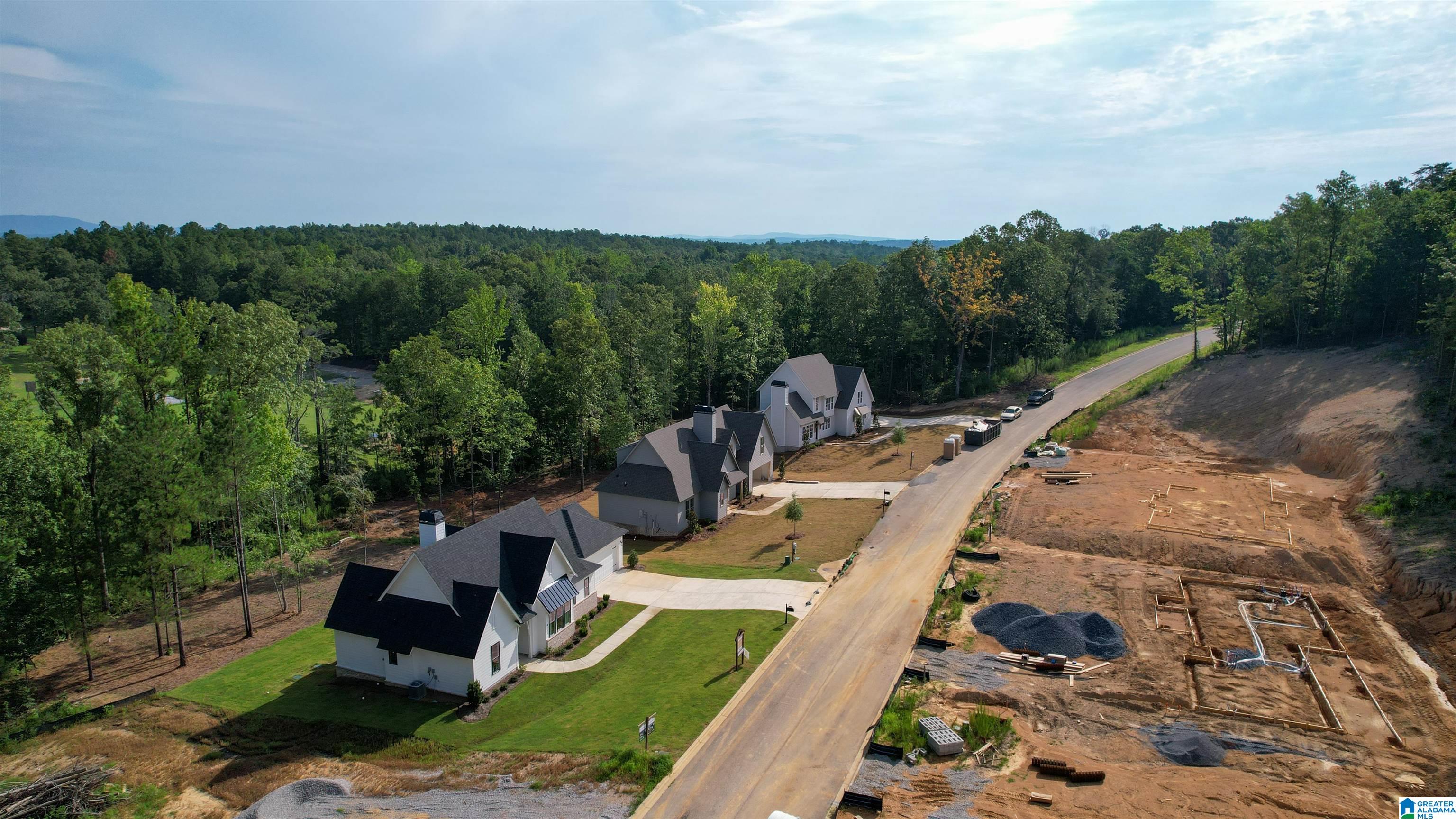4040 Chelsea Ridge Trail Columbiana, AL 35051 - Photo 29 of 34