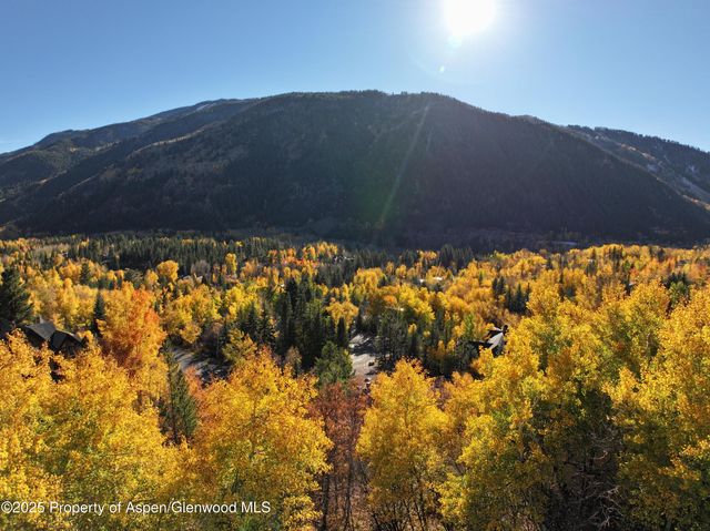 a front view of a house with a garden and tree