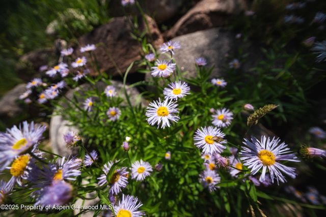 $10,500,000 | 602 Mountain Laurel Drive, Aspen, CO 81611