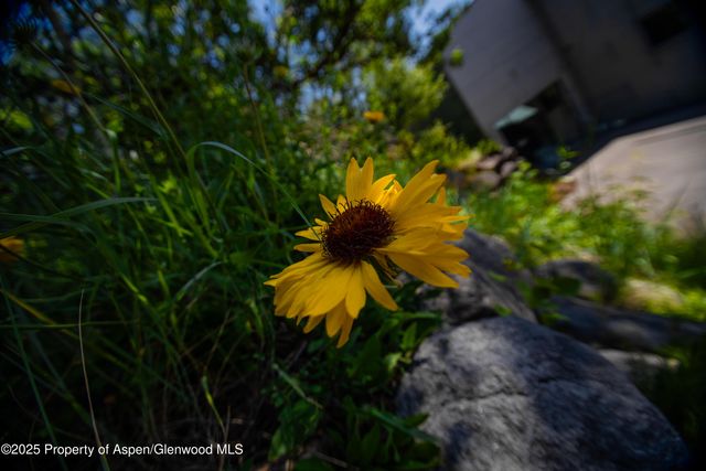 $10,500,000 | 602 Mountain Laurel Drive, Aspen, CO 81611