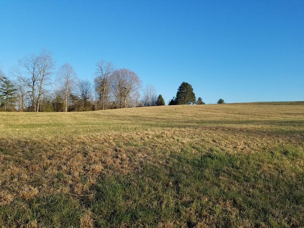 Hodges Bridge Road Doyle, TN 38559 - Photo 11 of 32 184919_8