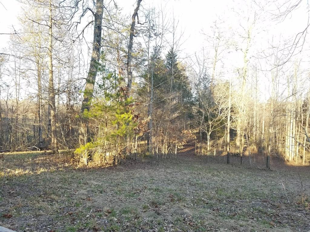 Hodges Bridge Road Doyle, TN 38559 - Photo 12 of 32 184919_9