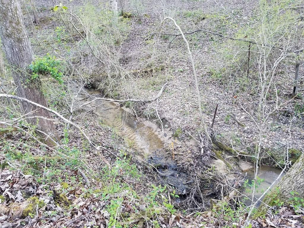 Hodges Bridge Road Doyle, TN 38559 - Photo 13 of 32 184919_11