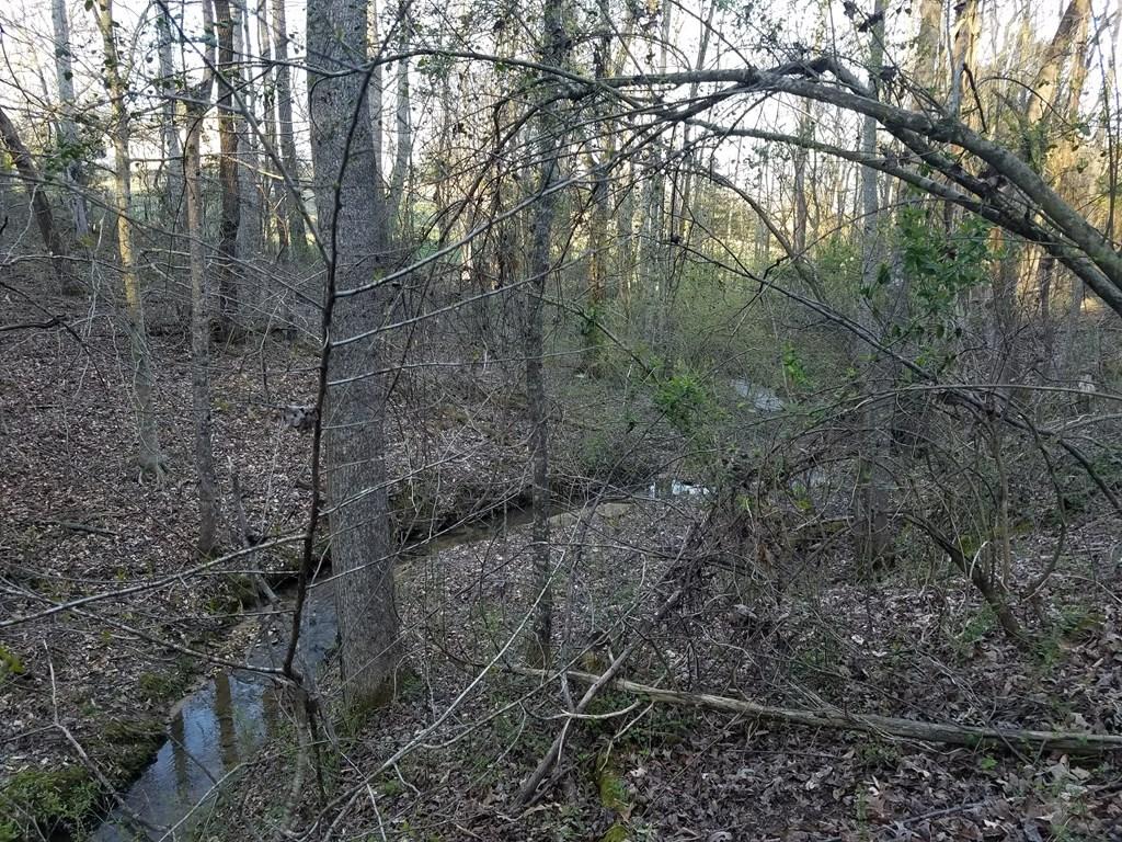 Hodges Bridge Road Doyle, TN 38559 - Photo 14 of 32 184919_12