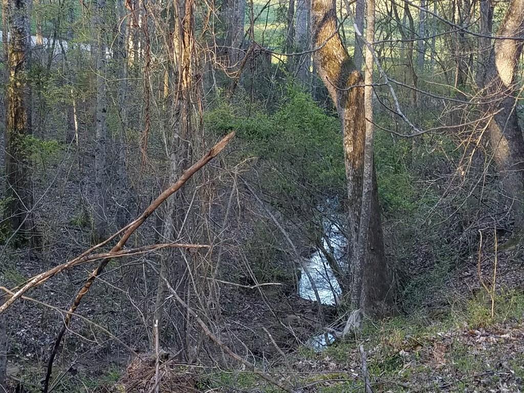 Hodges Bridge Road Doyle, TN 38559 - Photo 15 of 32 184919_13