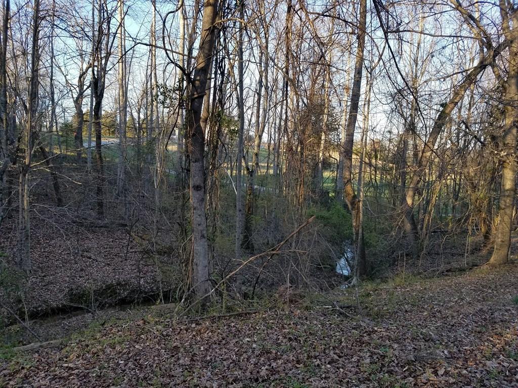 Hodges Bridge Road Doyle, TN 38559 - Photo 16 of 32 184919_14
