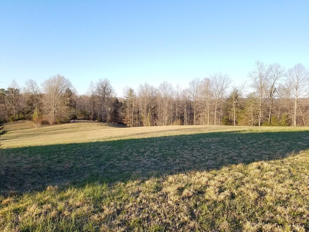 Hodges Bridge Road Doyle, TN 38559 - Photo 19 of 32 184919_19