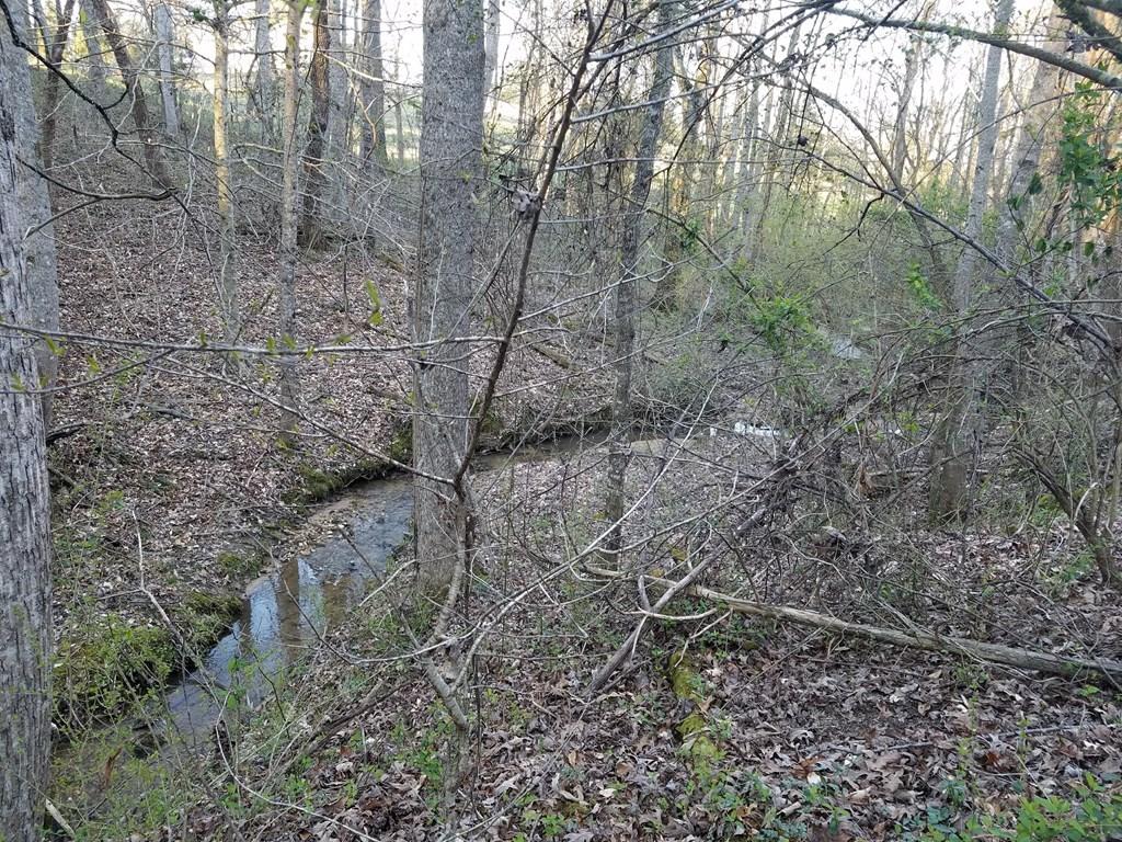 Hodges Bridge Road Doyle, TN 38559 - Photo 3 of 32 Creek