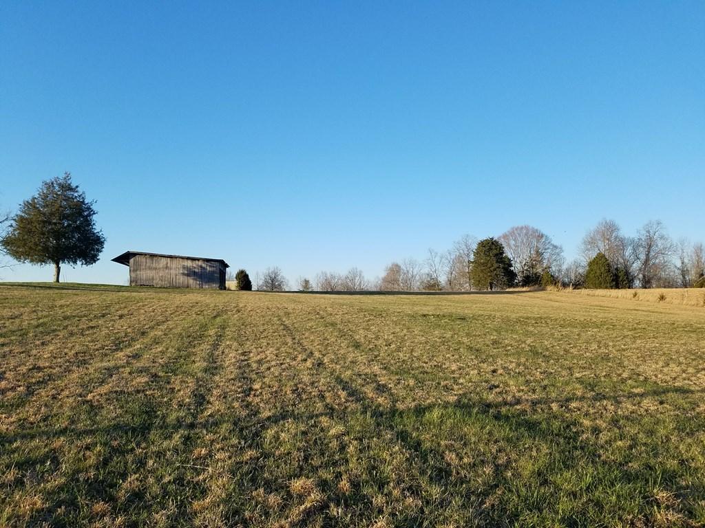 Hodges Bridge Road Doyle, TN 38559 - Photo 21 of 32 184919_24