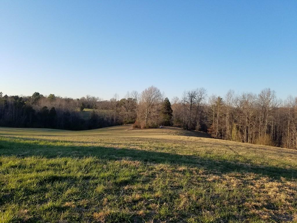 Hodges Bridge Road Doyle, TN 38559 - Photo 24 of 32 184919_27