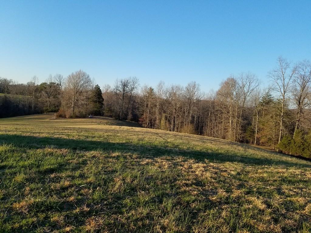 Hodges Bridge Road Doyle, TN 38559 - Photo 25 of 32 184919_28