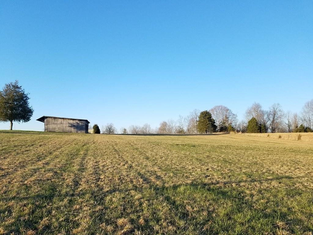 Hodges Bridge Road Doyle, TN 38559 - Photo 4 of 32 Large Open Field