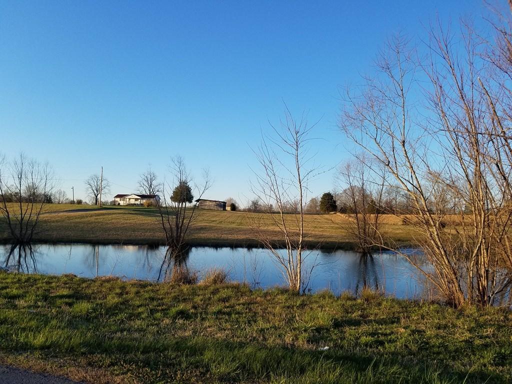 Hodges Bridge Road Doyle, TN 38559 - Photo 32 of 32 184919_36