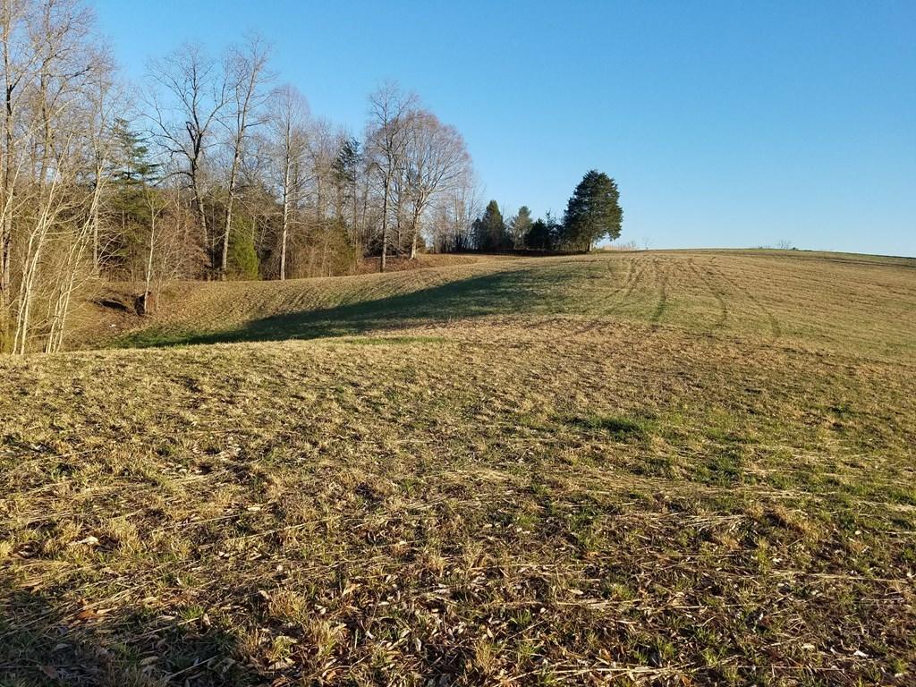 Hodges Bridge Road Doyle, TN 38559 - Photo 6 of 32 Rolling Land