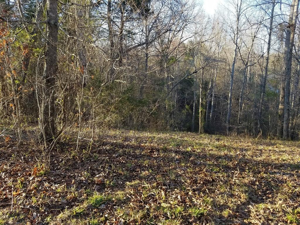 Hodges Bridge Road Doyle, TN 38559 - Photo 7 of 32 Wooded Area