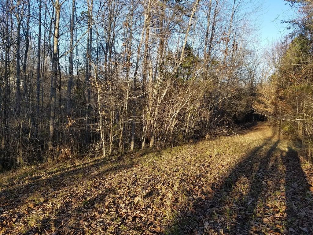 Hodges Bridge Road Doyle, TN 38559 - Photo 8 of 32 Wooded