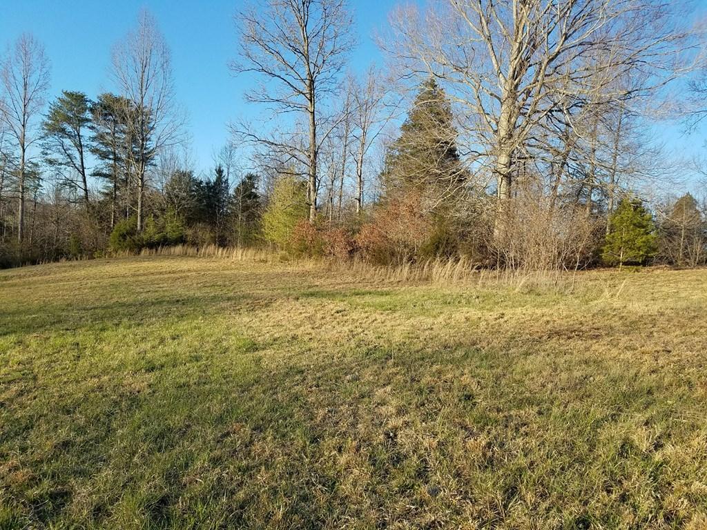 Hodges Bridge Road Doyle, TN 38559 - Photo 10 of 32 184919_7