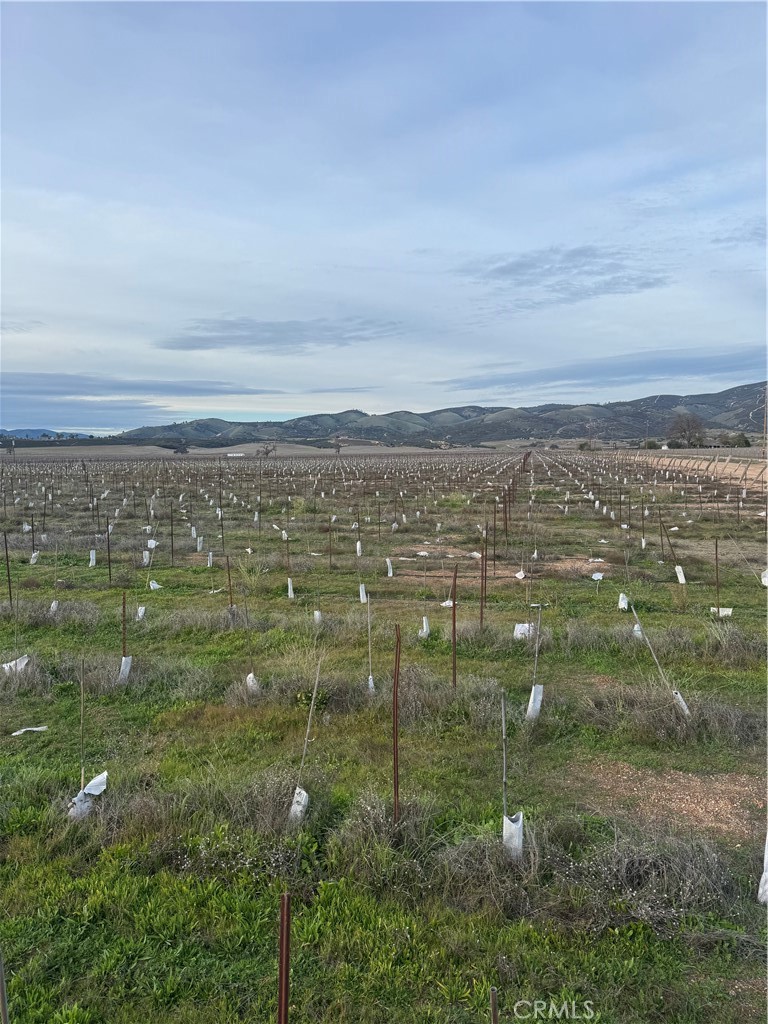 48655 Lockwood-Jolon Road Lockwood, CA 93932 - Photo 12 of 32