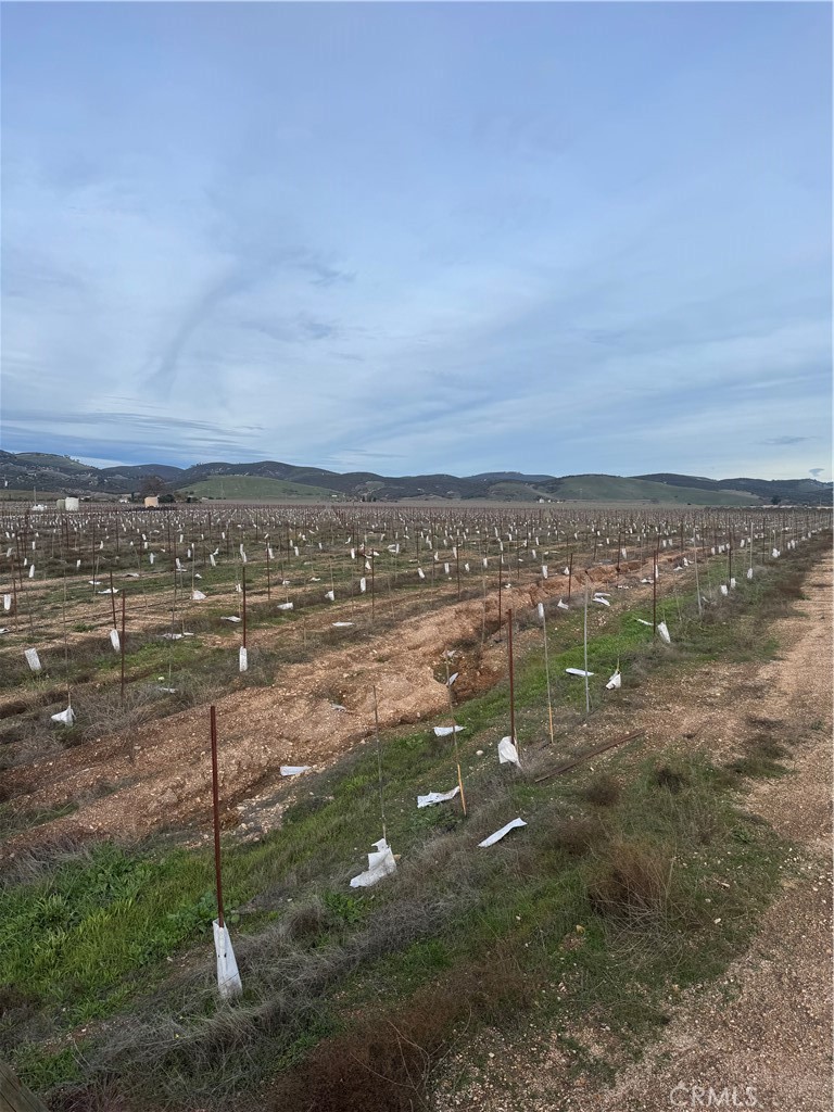 48655 Lockwood-Jolon Road Lockwood, CA 93932 - Photo 14 of 32