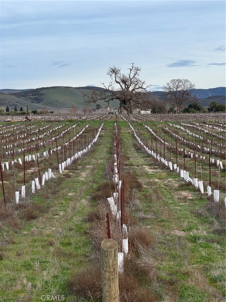 48655 Lockwood-Jolon Road Lockwood, CA 93932 - Photo 16 of 32