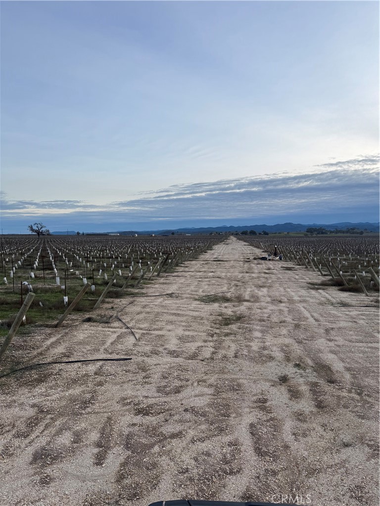 48655 Lockwood-Jolon Road Lockwood, CA 93932 - Photo 19 of 32