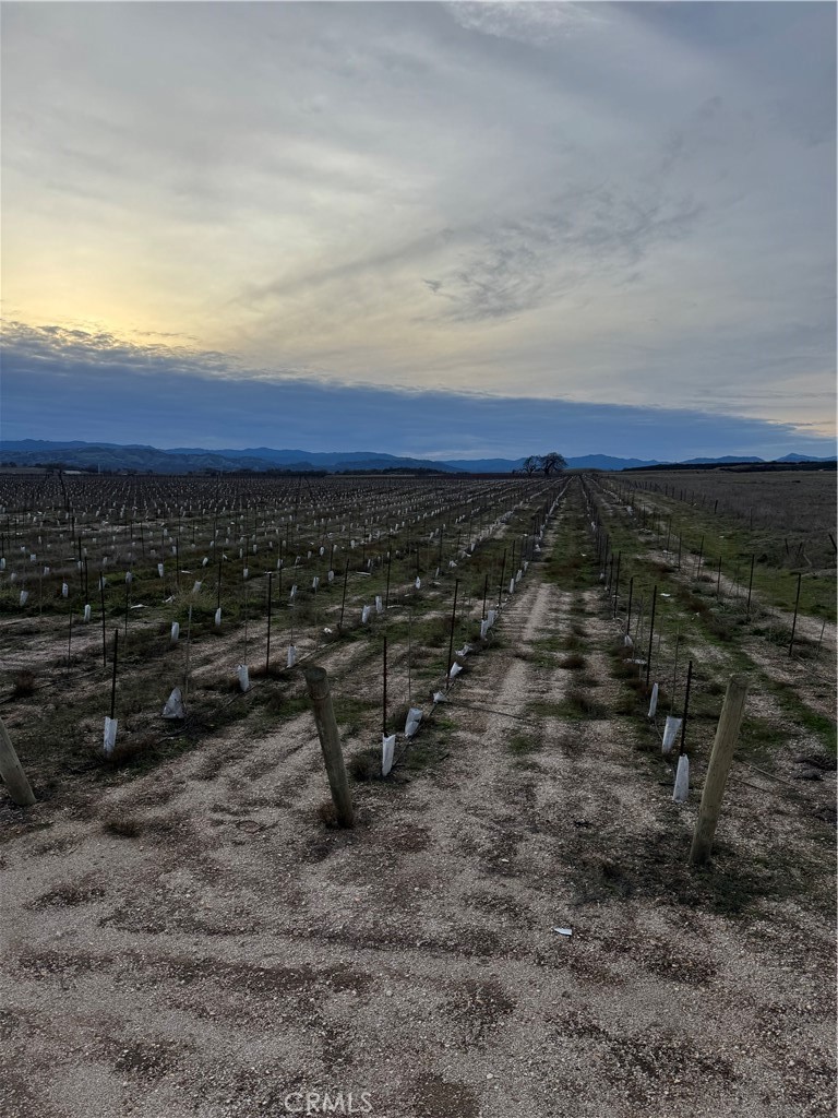 48655 Lockwood-Jolon Road Lockwood, CA 93932 - Photo 21 of 32