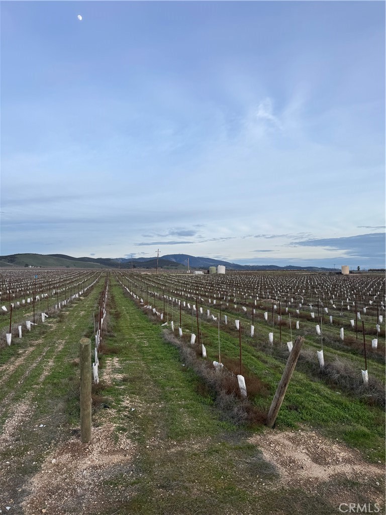 48655 Lockwood-Jolon Road Lockwood, CA 93932 - Photo 22 of 32