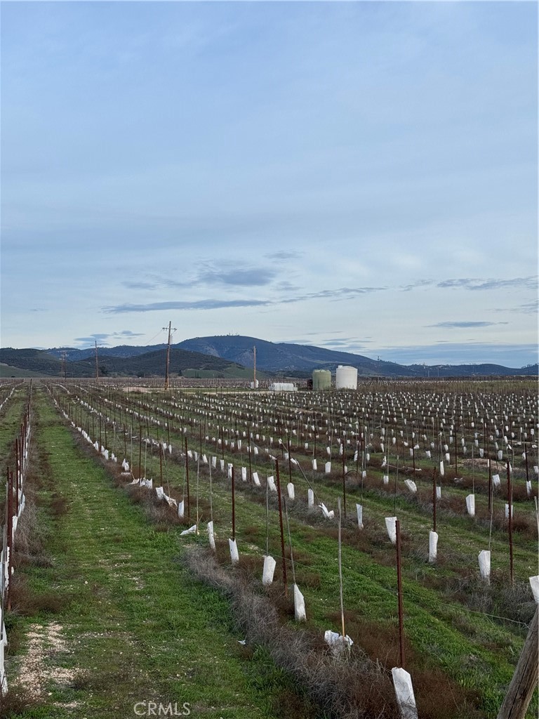 48655 Lockwood-Jolon Road Lockwood, CA 93932 - Photo 23 of 32