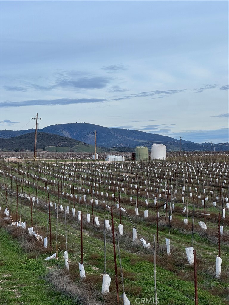 48655 Lockwood-Jolon Road Lockwood, CA 93932 - Photo 24 of 32