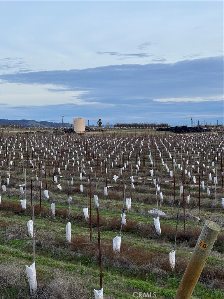 48655 Lockwood-Jolon Road Lockwood, CA 93932 - Photo 26 of 32