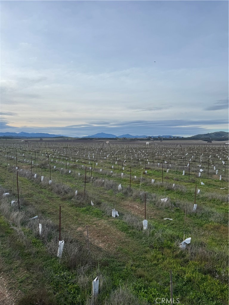 48655 Lockwood-Jolon Road Lockwood, CA 93932 - Photo 3 of 32