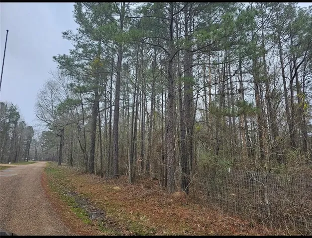 $176,680 | 0 Lou Ann Drive, Colfax, LA 71417