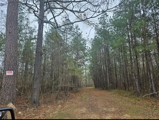 $176,680 | 0 Lou Ann Drive, Colfax, LA 71417