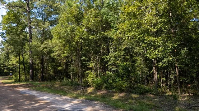 $176,680 | 0 Lou Ann Drive, Colfax, LA 71417