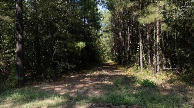 $176,680 | 0 Lou Ann Drive, Colfax, LA 71417