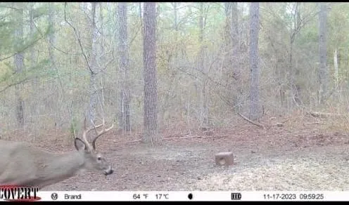 $176,680 | 0 Lou Ann Drive, Colfax, LA 71417